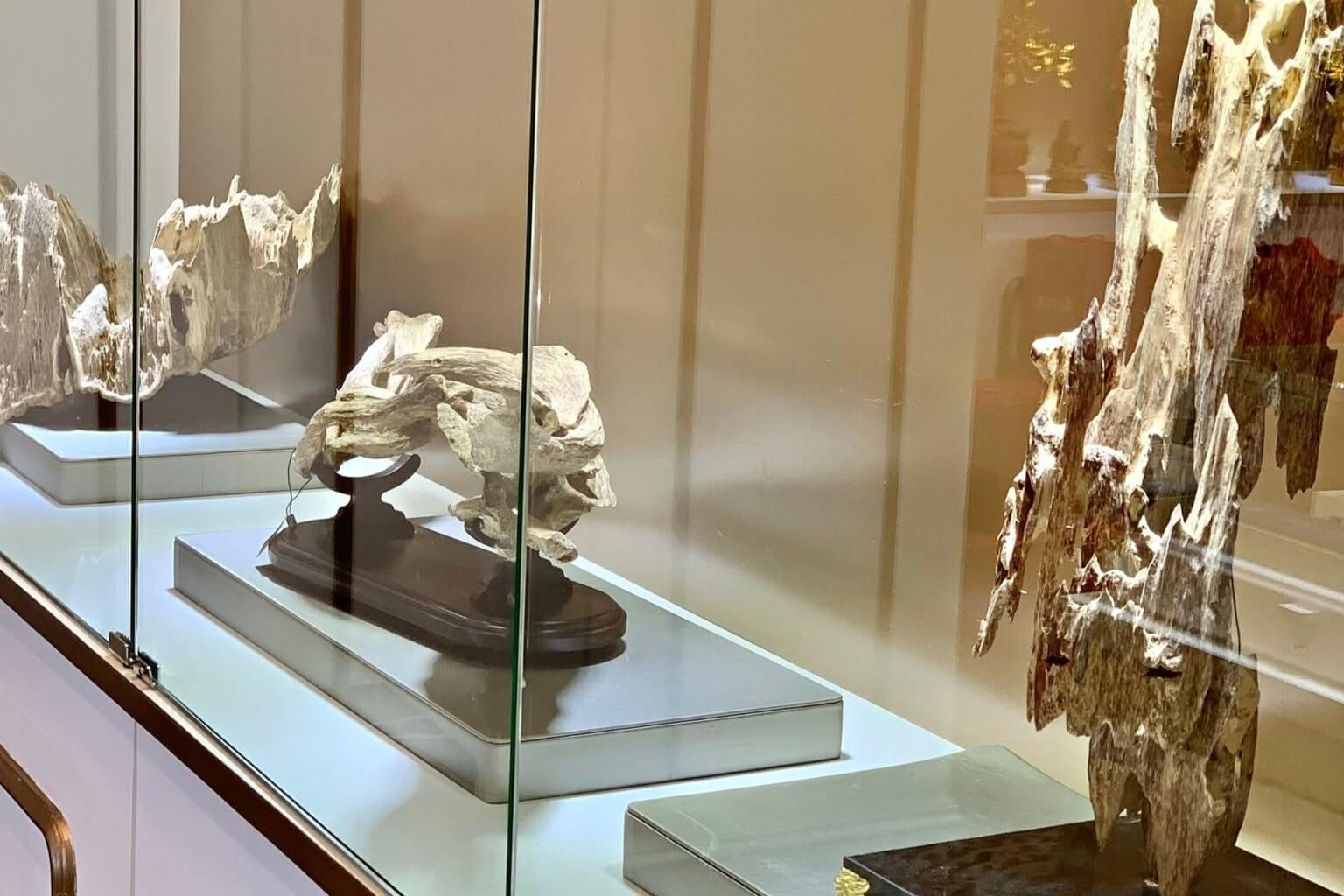 The heritage of Kynam and three generations of agarwood expertise